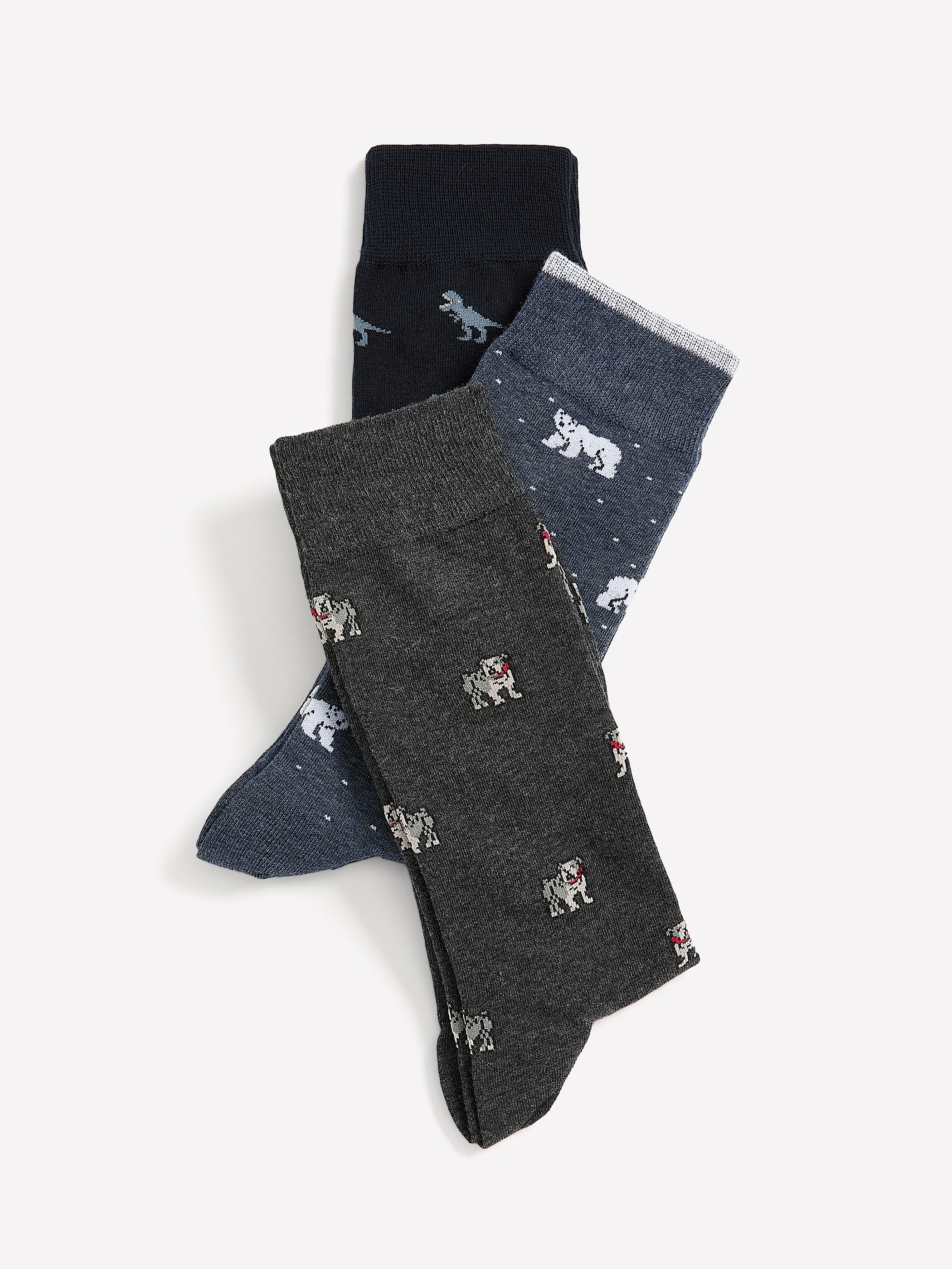 Dinosaur Socks - Image 3